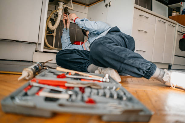 Best Shower Repair Services  in Hoffman Estates, IL