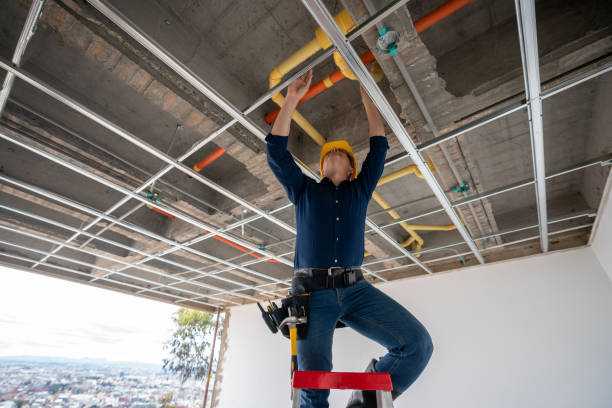 Best Plumbing Inspection Services  in Hoffman Estates, IL
