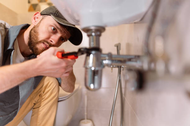 Best Local Plumber Services  in Hoffman Estates, IL