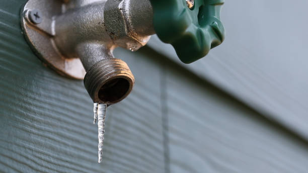 Best Water Leak Repair  in Hoffman Estates, IL